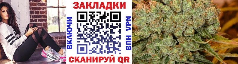 Цена Хасавюрт MEGA вход Кокаин A-PVP АМФ ГАШ Псилоцибиновые грибы Мефедрон Марихуана