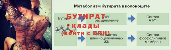 сатива Куйбышев