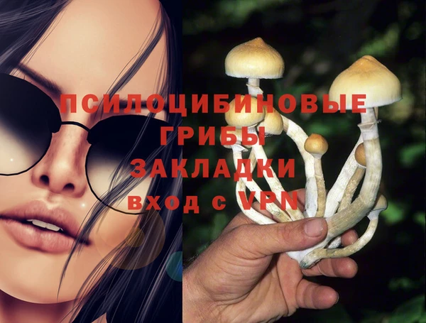 ПСИЛОЦИБИНОВЫЕ ГРИБЫ Семикаракорск