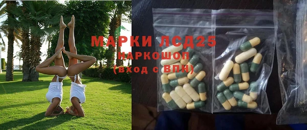 хмурый Кукмор