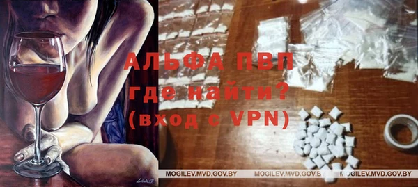 сатива Куйбышев