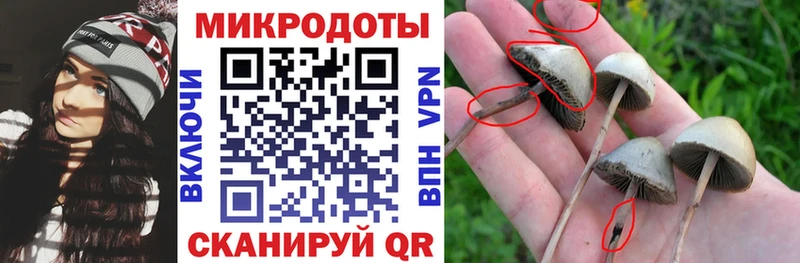 Галлюциногенные грибы Cubensis Хасавюрт